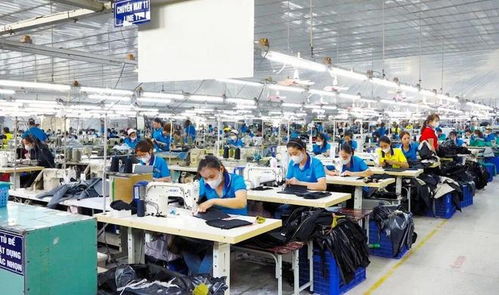 東莞電子廠外遷越南，工人失業困境與網絡技術服務解決方案